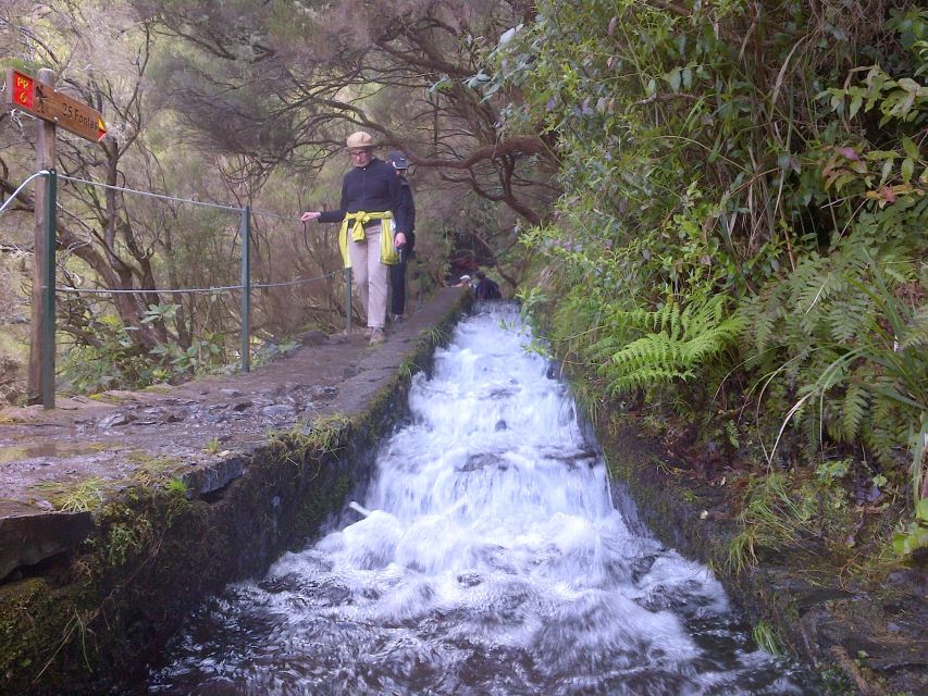 Madeira: Rabaçal Valleys 3-Hour Guided Walk - Pricing and Duration