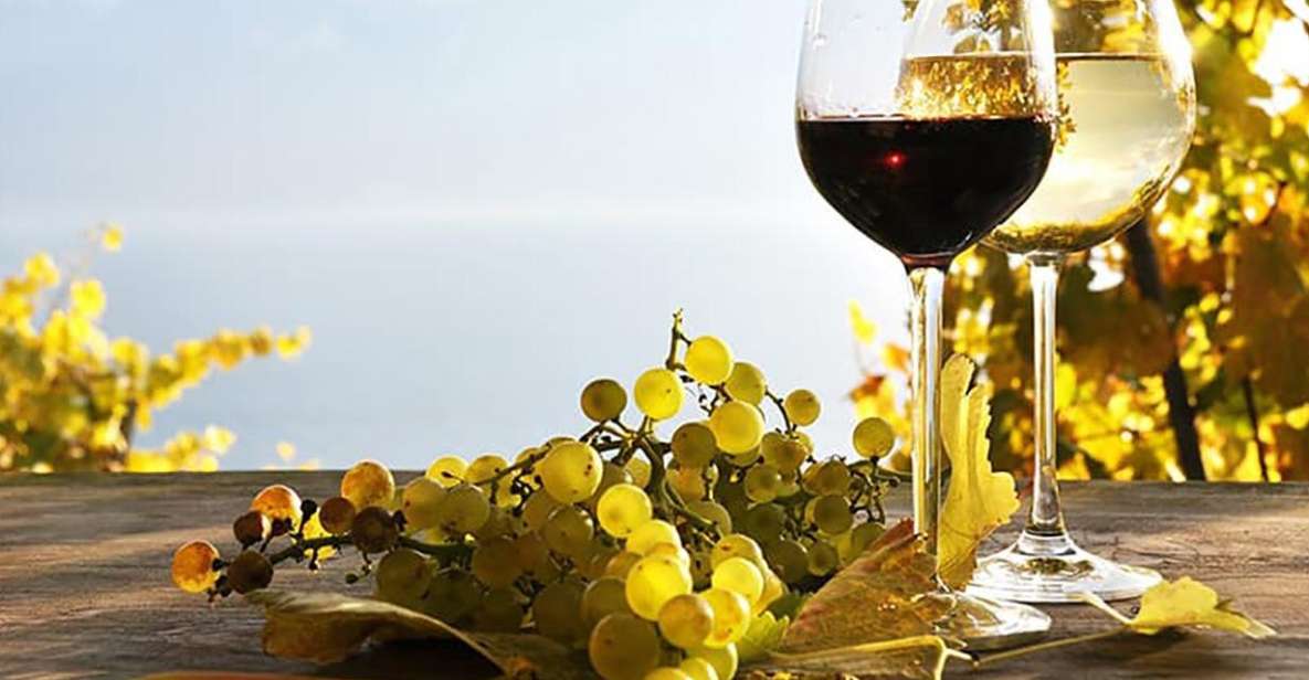 Madeira - Vineyard Tour Wine Tasting - Included - Itinerary and Highlights