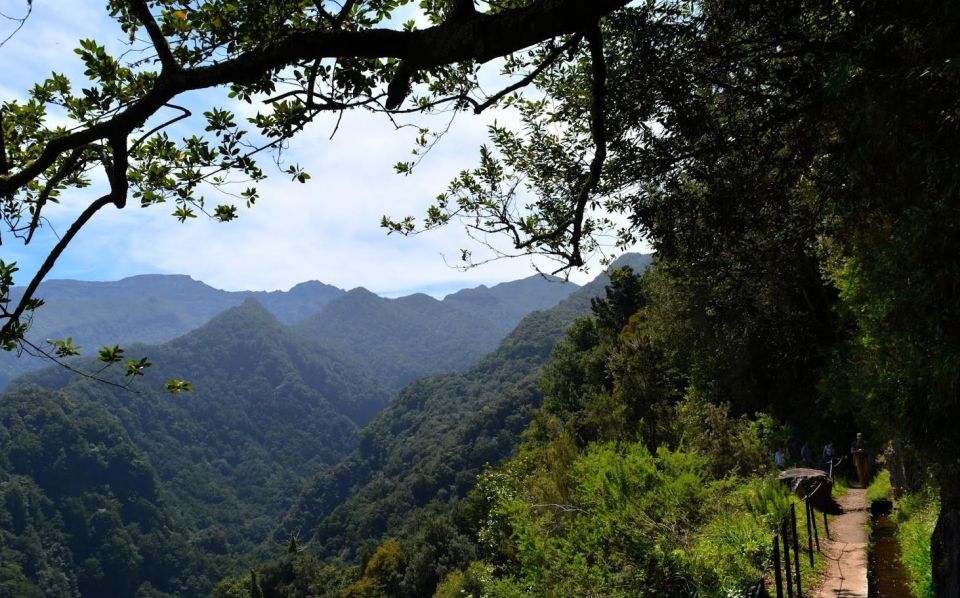 Madeira: Walking Tour Levada Do Rei/Ribeiro Bonito - Experience Highlights