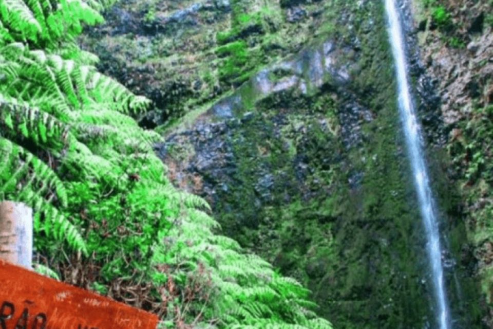 Madeira: Walking Tour - Queimadas / Caldeirão Verde - Experience Highlights