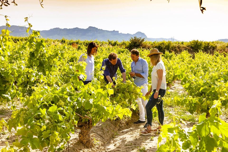 Madrid: Half Day Wine Region Tour - Itinerary Highlights