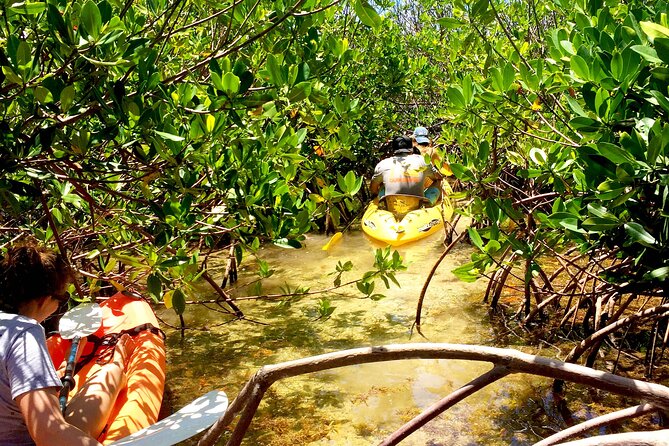 Magic Mangrove Paddle in Beef Island Lagoon - Safety Talk and Orientation