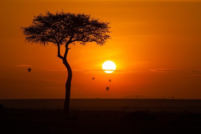 Magical Mara - Wildlife Encounters