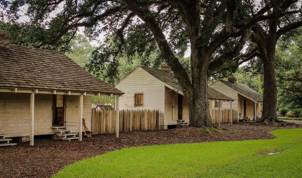 Majestic Oak Alley Plantation Tour - Tour Highlights