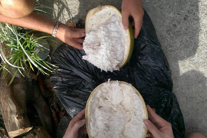 Make Your Own Wooden Bowl From the Fruit of Calabash, National Tree of St Lucia - Private Lessons Availability