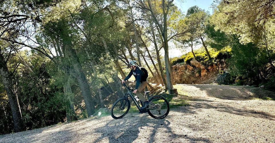 Málaga: Guided Tour With Electric Bike El Chorro - Experience Highlights