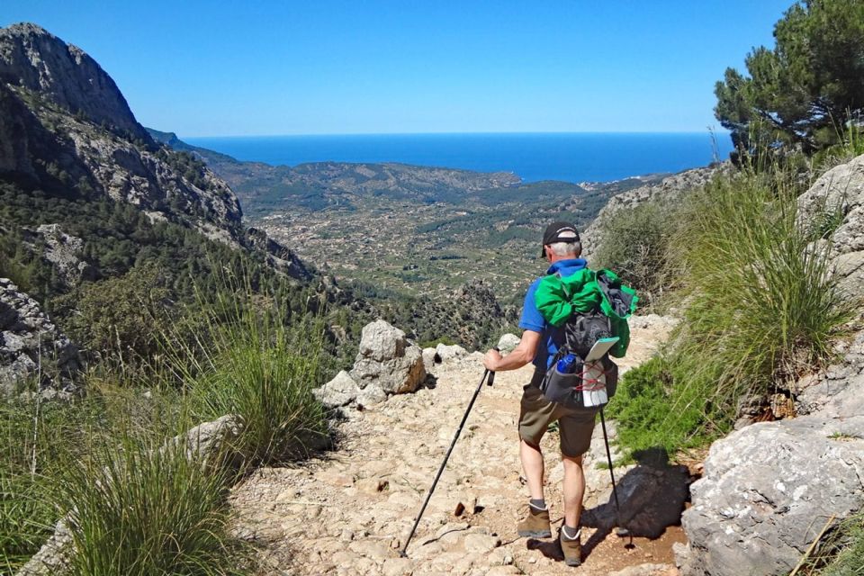 Mallorca Sóller Walking & Picnic Tour (Palma-Magaluf-Sóller) - Exploring Mallorca