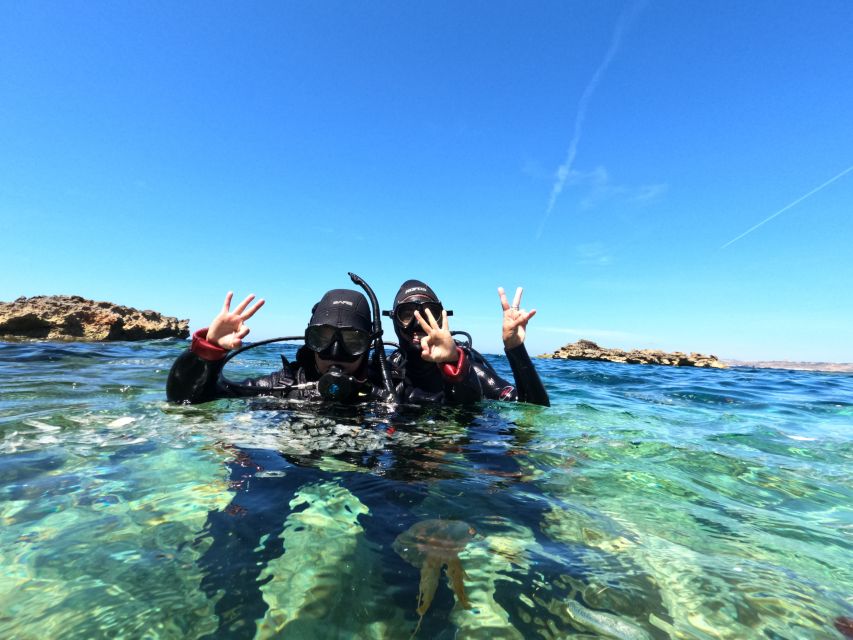 Malta: St. Pauls Bay 1 Day Scuba Diving Course - Course Structure