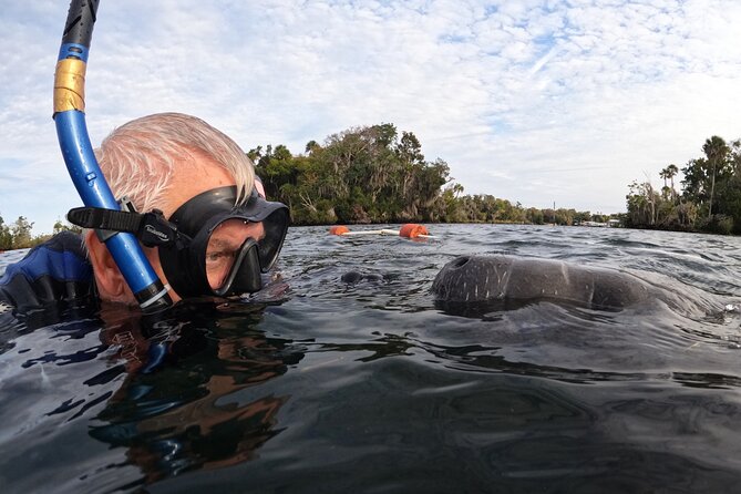 Manatee Adventure, Airboat, Lunch, Wildlife Park With Transport - Itinerary Highlights