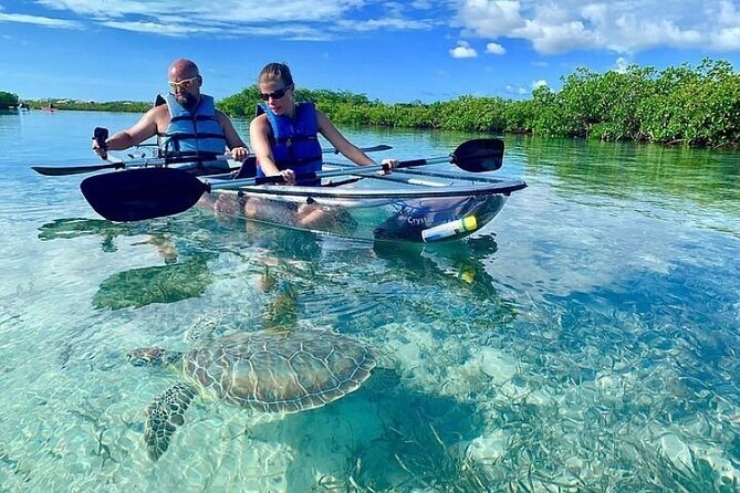 Mangrove Cay Tour - Tour Experience