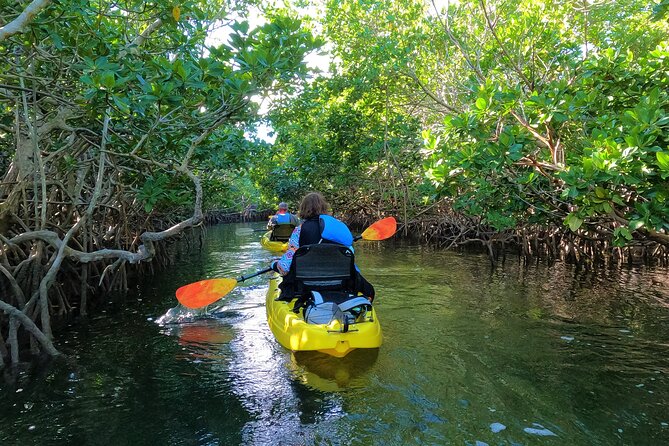 Mangrove Tunnel Kayak Adventure in Key Largo - Tour Details