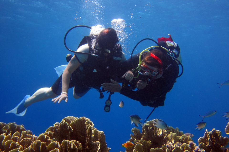 Marmaris: Scuba Diving Experience With 2 Dives and Lunch - Diving Suitability and Certifications