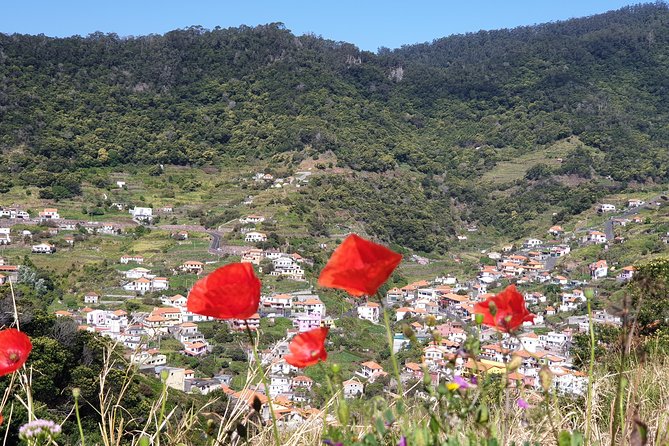 Marocos - Mimosa Valley - Views of Machico