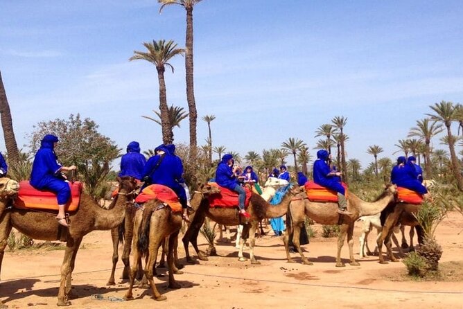 Marrakech Desert Camel Ride - Pickup and Drop-off Details