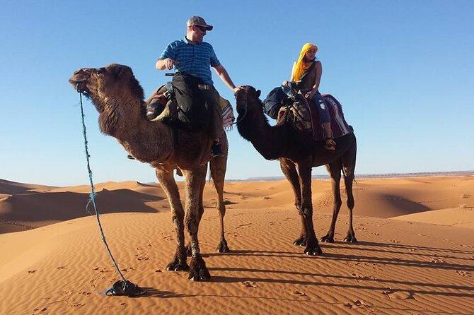 Marrakech Desert Tour to Fes - Pickup and Drop-off Locations