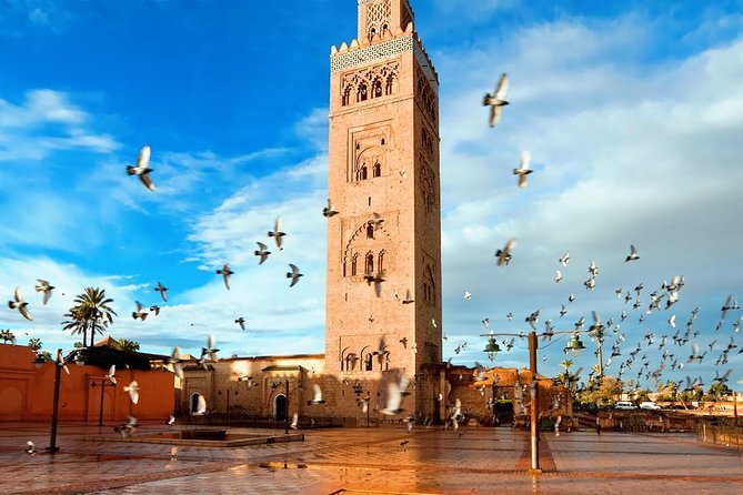 Marrakech Full Day Guided City Tour - Private Tour - Inclusions