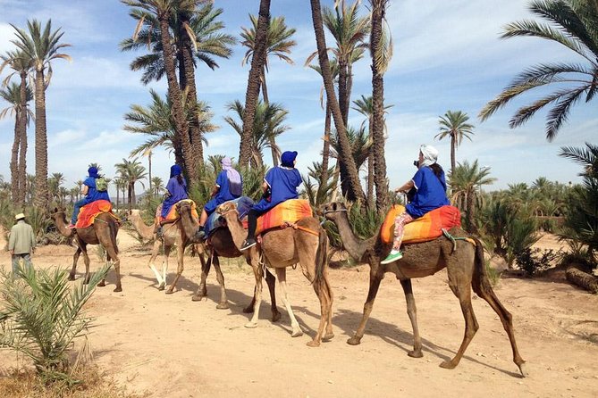 Marrakech Half-Day Camel Ride in Palm Grove - Camel Ride Suitability and Preparation