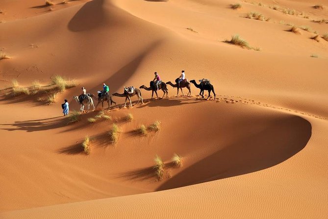 Marrakech - Route of the Kasbahs - Merzouga Desert 6 Nights / 7 Days - Pickup and Meeting Points