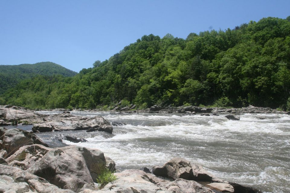 Marshall: French Broad Whitewater River Rafting Experience - Booking and Cancellation