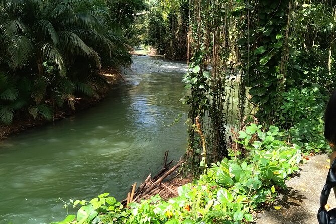 Martha Brae River Bamboo Rafting Private Tour - Booking Information