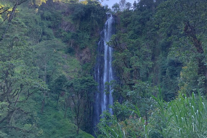 Materuni Waterfalls & Coffee Tour - Meeting and Pickup