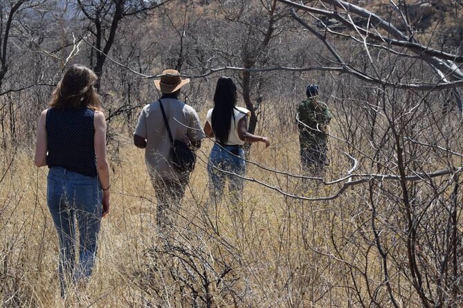 Matobo Rhino Encounter - Group Size