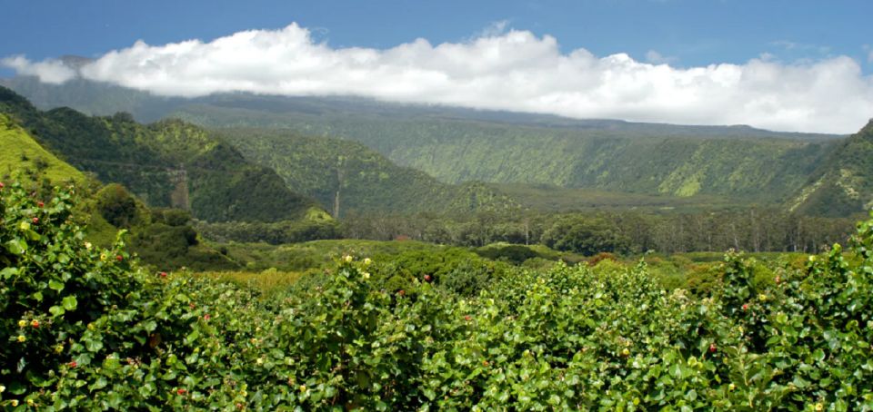 Maui: Full Day Hiking Tour With Lunch - Mauis National Park Exploration