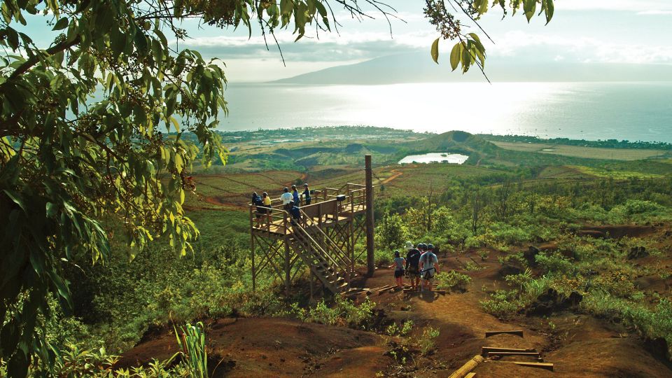 Maui: Kaanapali 8 Line Zipline Adventure - Highlights of the Zipline Tour