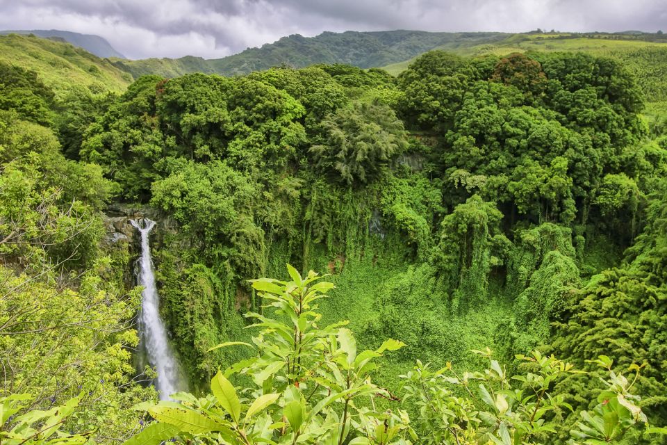 Maui: Small-Group Road to Hāna Sightseeing Tour - Tour Inclusions