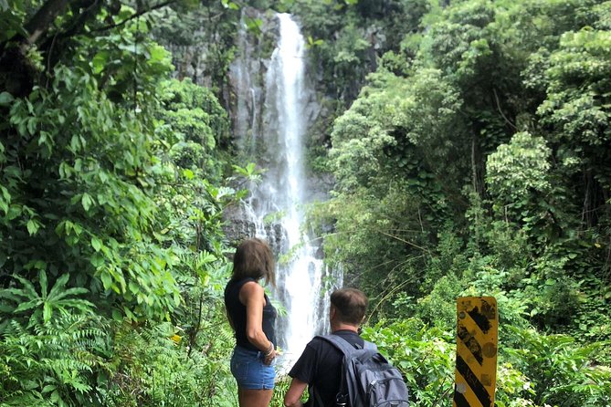 Maui Tour - Road to Hana Adventure Tour - Small Group - Food and Beverage Options