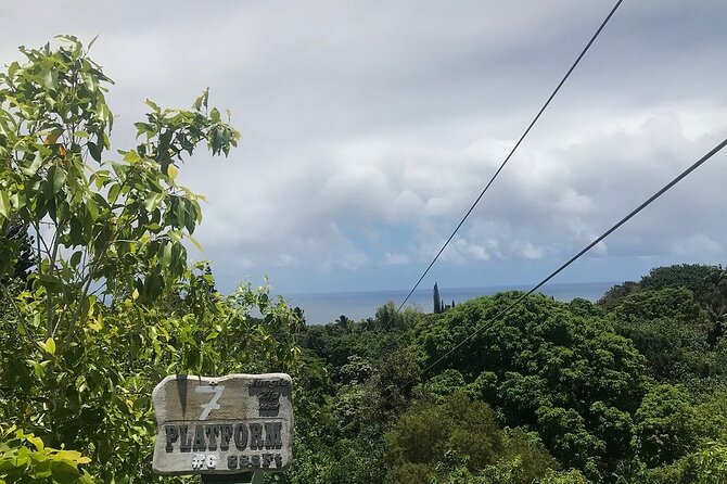 Maui Zipline Eco Adventure - 8 Lines Through the Jungle - Immersive Tropical Environment