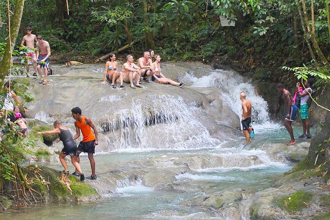 Mayfield Falls Tour With Lunch, Drink, Entry & Transp(Original) - Included Features