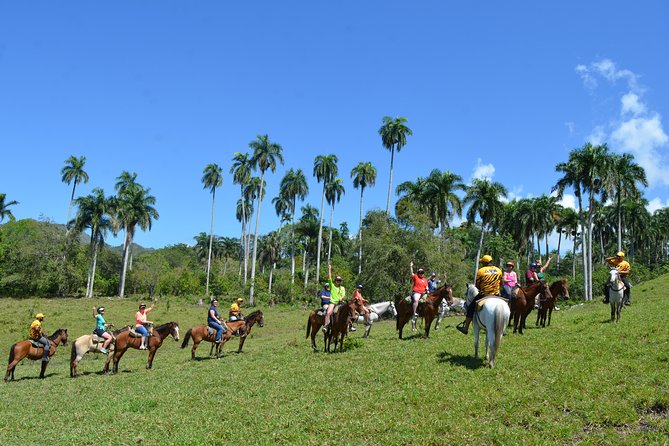 Mega Zip and Ride in Dominican Countryside - Additional Information