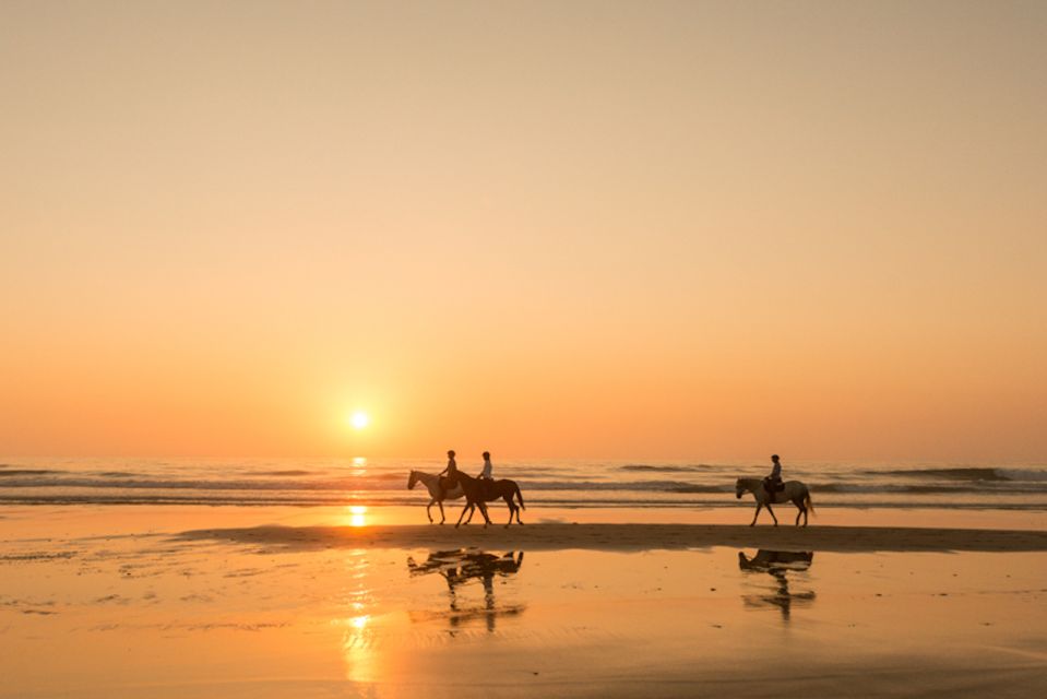 Melides: Horse Riding on the Beach With Wine Tasting - Exploring the Pine Forest