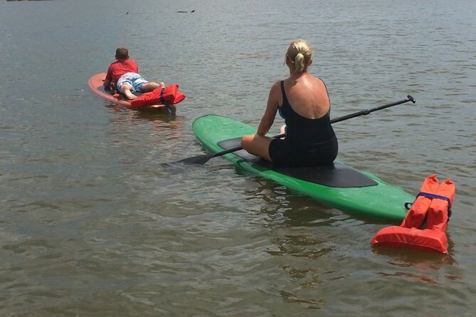 Merritt Island: Manatee Watching Paddle or Kayak Tour - Activity and Duration