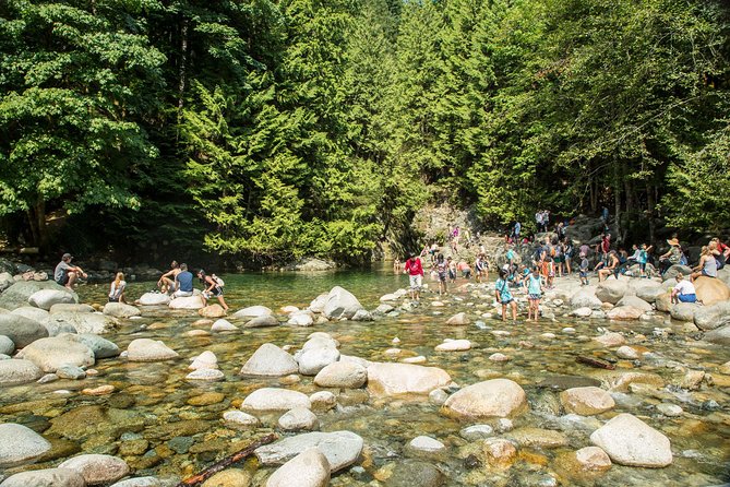 Mesmerizing Nature Walk in Lynn Canyon Park - Explore Lynn Valley Ecology Centre