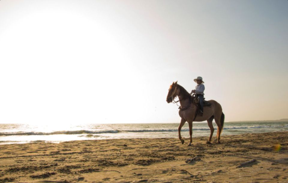 Miami: Beach Horse Ride & Nature Trail - What to Expect on the Trail