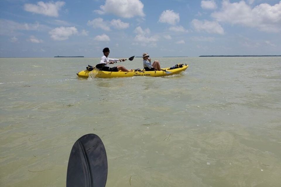 Miami: Everglades National Park Hiking and Kayaking Day Trip - Guided Hike Through Diverse Habitats