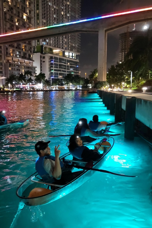 Miami: Guided LED-LIT Kayak Night Tour With Drinks - Pricing and Booking