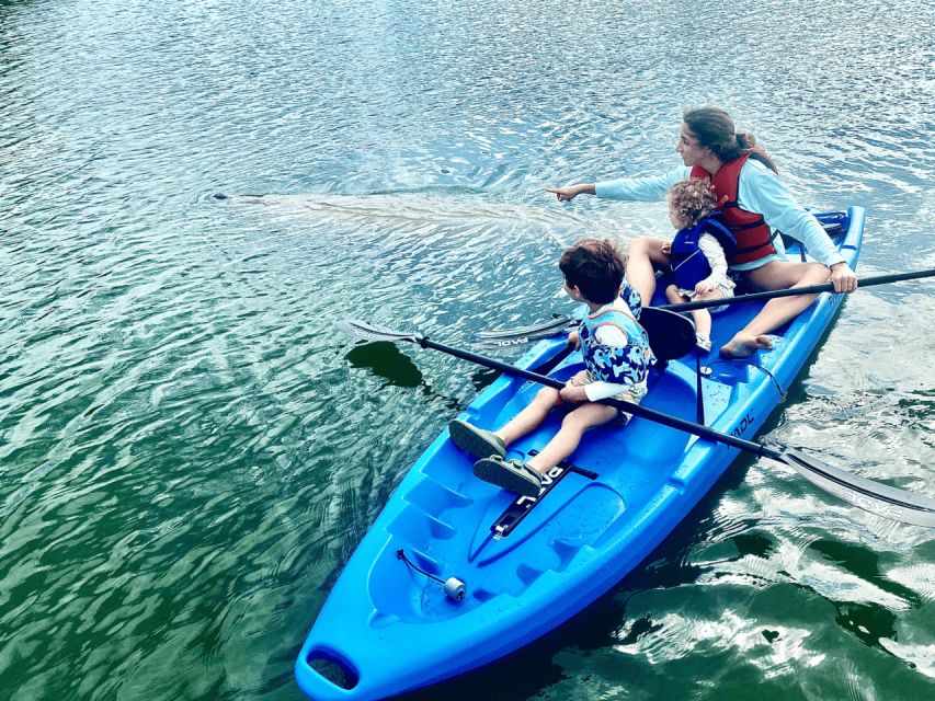 Miami: Manatee Season Tour Paddleboard or Kayak Tour - Highlights of the Tour