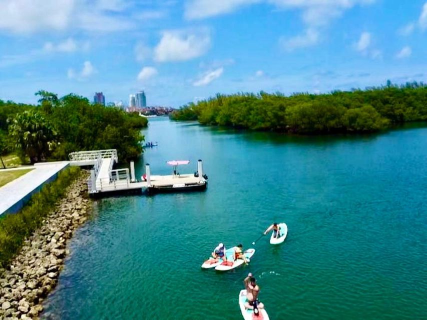 Miami: Paddle Board or Kayak Rental in Virginia Key - Wildlife and Scenery