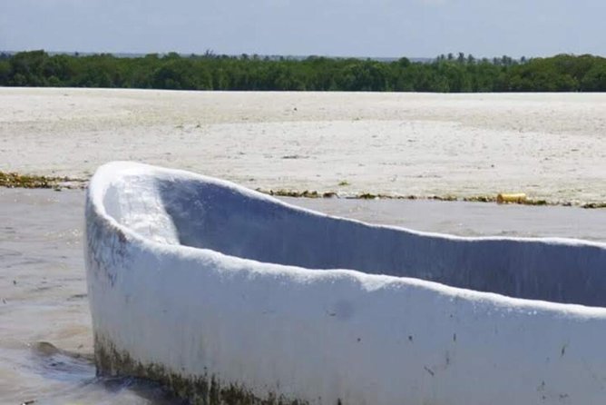 Mida Creek Boardwalk and Canoa Ride - Exploring the Mangrove Boardwalk