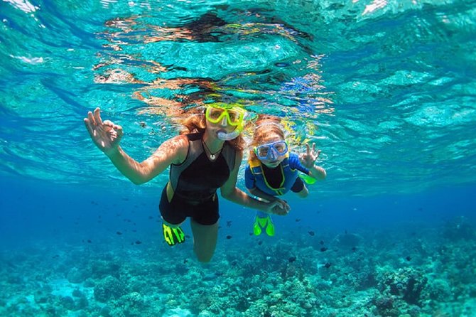 Mimosa Snorkeling Tour From Punta Cana - Meeting and Pickup Details