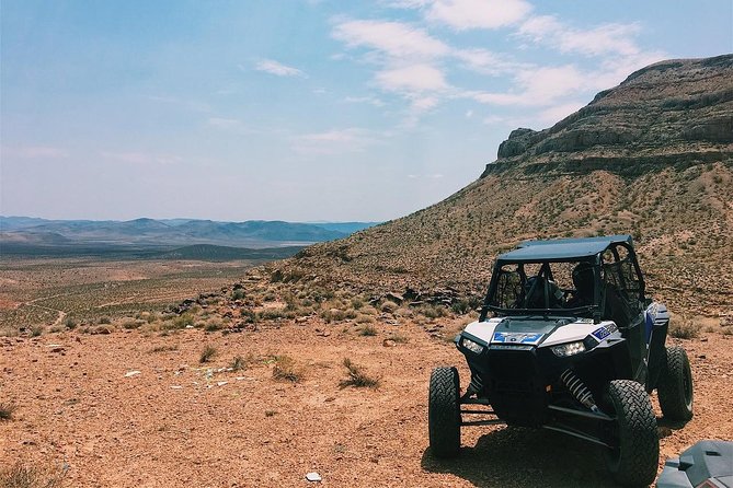 Mojave Desert Off Road RZR Tour in Las Vegas - Inclusions and Requirements