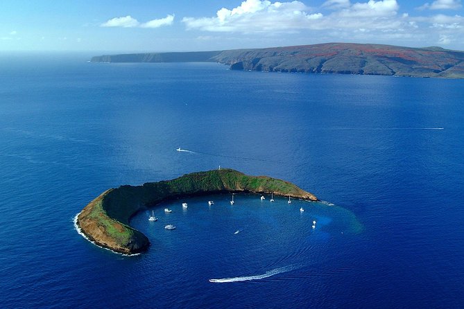 Molokini Snorkeling Adventure Aboard Calypso From Maalaea Harbor - Safety and Accessibility