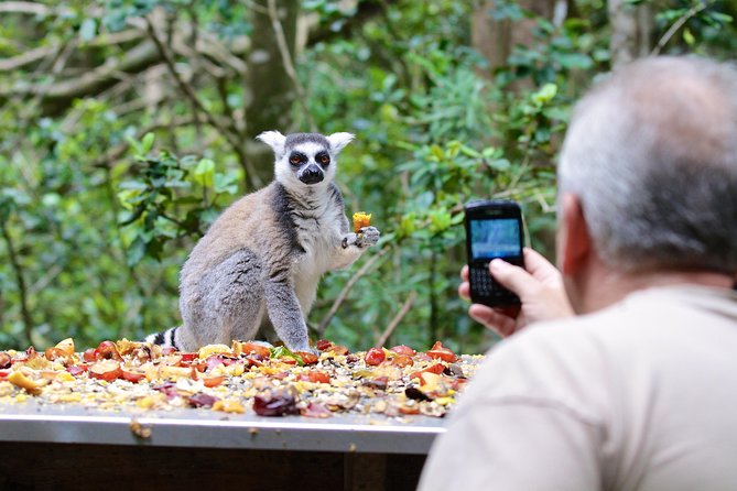 Monkeyland Guided Tour in Plettenberg Bay - Animals and Species