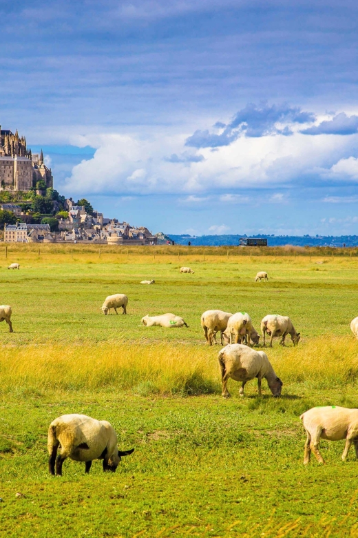 Mont Saint-Michel: Self-Guided Tour of the Island - Panoramic Views From the Abbey