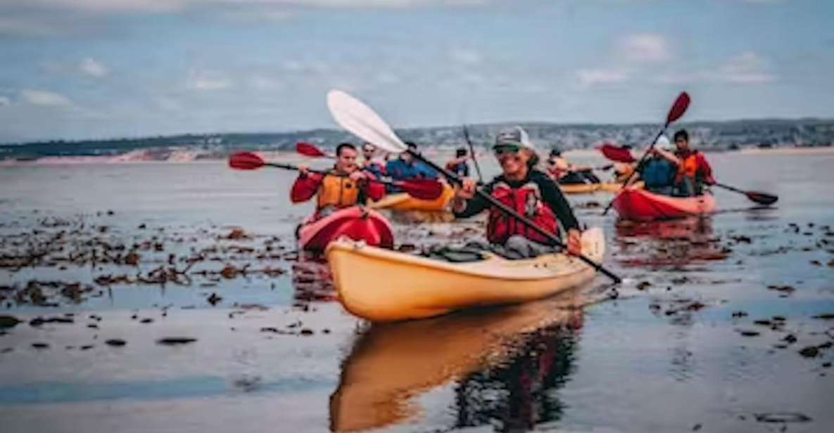 Monterey: Cannery Row Kayak Tour - Experience Highlights