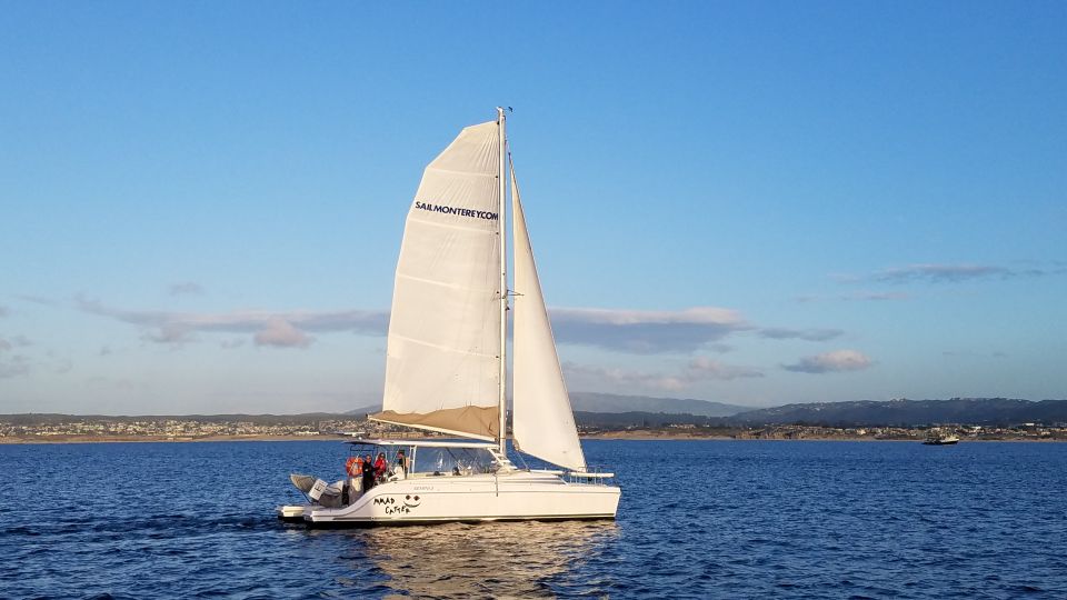 Monterey: Catamaran Sailing Cruise - Booking Information