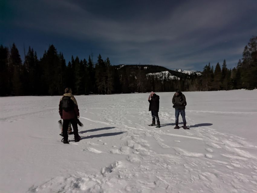 Moonlight Snowshoe Tour Under a Starry Sky - Explore Lake Tahoes Forest